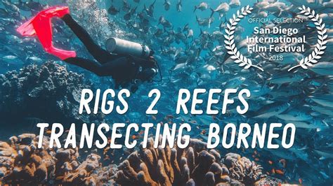 Rigs 2 Reefs Transecting Borneo  Short Film