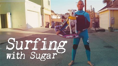 Surfing With Sugar  Short Film